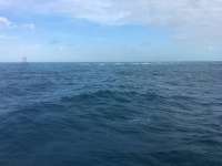 Great day of scuba diving in Key Largo with Rainbow Reef on winch hole tropical legend 2016 12 17 r3622 1