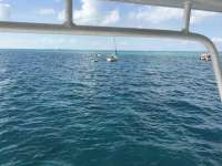 Great day of scuba diving in Key Largo with Rainbow Reef on winch hole tropical odyssey 2016 12 15 r3611 1