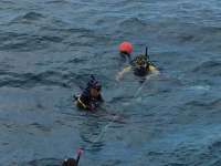 Great day of scuba diving in Key Largo with Rainbow Reef on benwood wreck tropical odyssey 2016 02 01 r2472 1