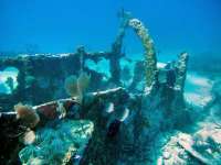 Great day of scuba diving in Key Largo with Rainbow Reef on city of washington tropical odyssey 2016 02 09 r2493 2