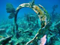 Great day of scuba diving in Key Largo with Rainbow Reef on city of washington tropical odyssey 2016 02 09 r2493 3