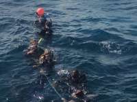 Great day of scuba diving in Key Largo with Rainbow Reef on eagle ray alley tropical adventure 2016 02 06 r2486 1