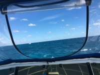 Great day of scuba diving in Key Largo with Rainbow Reef on fire coral cave tropical adventure 2016 02 28 r2552 1