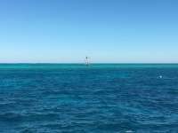 Great day of scuba diving in Key Largo with Rainbow Reef on fire coral cave tropical odyssey 2016 02 27 r2547 1