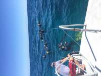 Great day of scuba diving in Key Largo with Rainbow Reef on molasses deep tropical adventure 2016 02 13 r2504 1