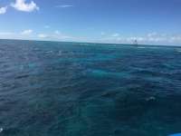 Great day of scuba diving in Key Largo with Rainbow Reef on molasses reef tropical adventure 2016 02 21 r2533 1