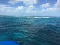 Great day of scuba diving in Key Largo with Rainbow Reef on molasses reef tropical odyssey 2016 02 03 r2479 1