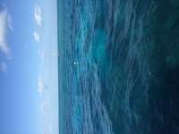 Great day of scuba diving in Key Largo with Rainbow Reef on molasses reef tropical odyssey 2016 02 06 r2483 1