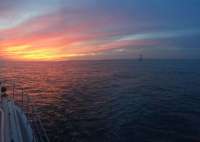 Great day of scuba diving in Key Largo with Rainbow Reef on molasses reef tropical odyssey 2016 02 16 r2513 4