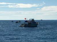 Great day of scuba diving in Key Largo with Rainbow Reef on molasses reef tropical odyssey 2016 02 17 r2517 1