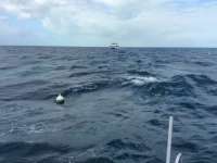 Great day of scuba diving in Key Largo with Rainbow Reef on molasses reef tropical odyssey 2016 02 20 r2524 2