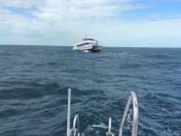 Great day of scuba diving in Key Largo with Rainbow Reef on molasses reef tropical odyssey 2016 02 20 r2524 4