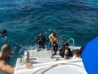 Great day of scuba diving in Key Largo with Rainbow Reef on sand island tropical adventure 2016 02 02 r2477 1