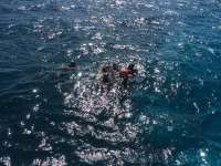 Great day of scuba diving in Key Largo with Rainbow Reef on sand island tropical adventure 2016 02 25 r2539 1