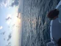 Great day of scuba diving in Key Largo with Rainbow Reef on sand island tropical odyssey 2016 02 04 r2482 1