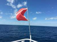 Great day of scuba diving in Key Largo with Rainbow Reef on spiegel grove tropical adventure 2016 02 29 r2557 1