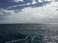Great day of scuba diving in Key Largo with Rainbow Reef on uscgc duane tropical adventure 2016 02 29 r2555 1