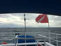 Great day of scuba diving in Key Largo with Rainbow Reef on christ statue tropical adventure 2016 01 04 r2426 1