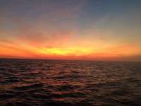 Great day of scuba diving in Key Largo with Rainbow Reef on eagle ray alley tropical odyssey 2016 01 09 r2435 2
