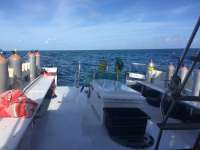 Great day of scuba diving in Key Largo with Rainbow Reef on molasses reef tropical voyager 2016 01 01 r2414 1