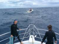 Great day of scuba diving in Key Largo with Rainbow Reef on spiegel grove tropical adventure 2016 01 05 r2427 1