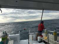 Great day of scuba diving in Key Largo with Rainbow Reef on spiegel grove tropical explorer 2016 01 18 r2449 1