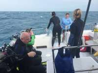 Great day of scuba diving in Key Largo with Rainbow Reef on spiegel grove tropical explorer 2016 01 28 r2460 1