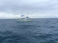 Great day of scuba diving in Key Largo with Rainbow Reef on spiegel grove tropical voyager 2016 01 12 r2440 1