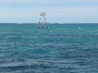 Great day of scuba diving in Key Largo with Rainbow Reef on winch hole tropical odyssey 2016 01 29 r2462 1