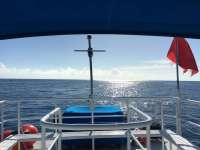 Great day of scuba diving in Key Largo with Rainbow Reef on woodys tropical adventure 2016 01 02 r2419 1