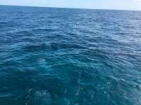 Great day of scuba diving in Key Largo with Rainbow Reef on benwood wreck tropical adventure 2016 07 07 r3026 1