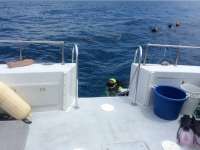 Great day of scuba diving in Key Largo with Rainbow Reef on benwood wreck tropical explorer 2016 07 03 r3013 1