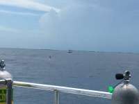 Great day of scuba diving in Key Largo with Rainbow Reef on captains choice tropical explorer 2016 07 13 r3062 1