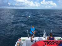 Great day of scuba diving in Key Largo with Rainbow Reef on christmastree cave tropical legend 2016 07 19 r3076 1