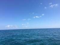 Great day of scuba diving in Key Largo with Rainbow Reef on conch wall tropical explorer 2016 07 08 r3036 1