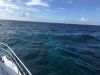 Great day of scuba diving in Key Largo with Rainbow Reef on eagle ray alley tropical adventure 2016 07 04 r3016 1