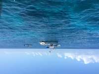 Great day of scuba diving in Key Largo with Rainbow Reef on eagle ray alley tropical voyager 2016 07 07 r3029 1
