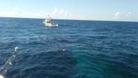 Great day of scuba diving in Key Largo with Rainbow Reef on eagle ray alley tropical voyager 2016 07 14 r3065 1