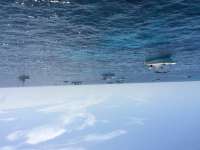 Great day of scuba diving in Key Largo with Rainbow Reef on eagle ray alley tropical voyager 2016 07 30 r3120 1