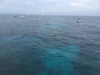 Great day of scuba diving in Key Largo with Rainbow Reef on fire coral cave tropical adventure 2016 07 03 r3014 1