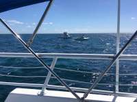 Great day of scuba diving in Key Largo with Rainbow Reef on french reef tropical adventure 2016 07 10 r3045 1