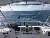 Great day of scuba diving in Key Largo with Rainbow Reef on french reef tropical legend 2016 07 26 r3103 1