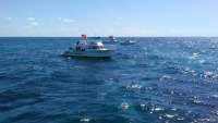 Great day of scuba diving in Key Largo with Rainbow Reef on french reef tropical odyssey 2016 07 10 r3046 1