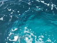 Great day of scuba diving in Key Largo with Rainbow Reef on hole in the wall tropical adventure 2016 07 23 r3091 3