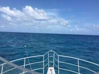 Great day of scuba diving in Key Largo with Rainbow Reef on hole in the wall tropical odyssey 2016 07 19 r3078 1