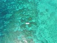 Great day of scuba diving in Key Largo with Rainbow Reef on molasses deep tropical odyssey 2016 07 13 r3061 3