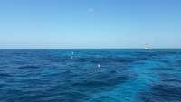 Great day of scuba diving in Key Largo with Rainbow Reef on molasses reef tropical adventure 2016 07 06 r3022 1