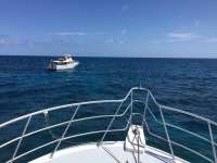 Great day of scuba diving in Key Largo with Rainbow Reef on molasses reef tropical adventure 2016 07 28 r3109 1