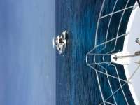 Great day of scuba diving in Key Largo with Rainbow Reef on molasses reef tropical adventure 2016 07 29 r3116 1