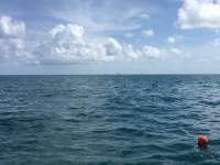 Great day of scuba diving in Key Largo with Rainbow Reef on molasses reef tropical explorer 2016 07 09 r3042 1